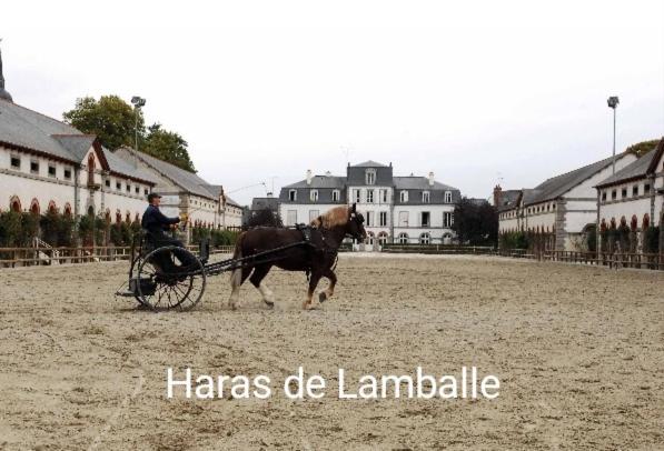 Perle Rare, Appartement Paisible Et Cosy Lamballe Exteriör bild